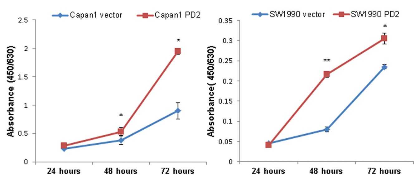 PD2 overexpression led to increased growth in cancer cells.jpg